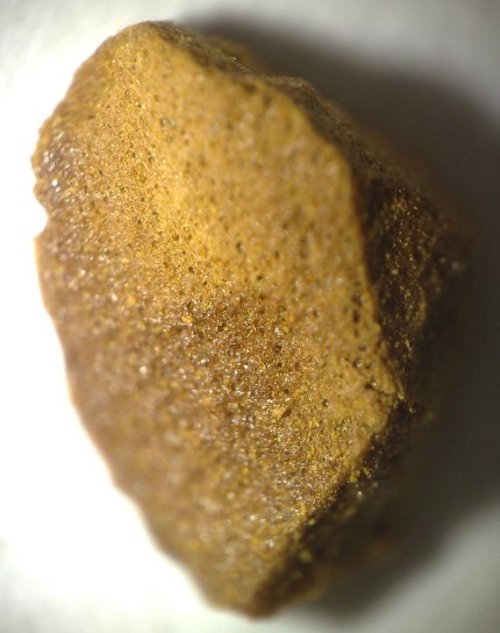 Macro Grain of Coffee 