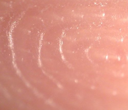 Macro Finger Print 